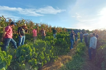 Projeto “Construindo Solos Saudáveis” atende produtores de café de Monte Sião