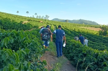 Pela primeira vez, produtores locais fornecem café para todos os prédios públicos de Monte Sião