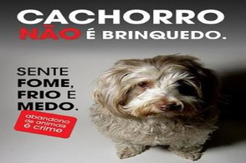 PROJETO POSSE RESPONSÁVEL DOS ANIMAIS ACONTECE NAS CEMEIS DO MUNICÍPIO