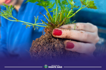 Estudantes cultivam saber e sustentabilidade na escola Denise Maria Corsi
