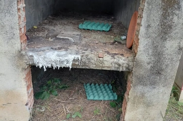 Vigilância em Saúde instala armadilhas para escorpião no Cemitério Municipal