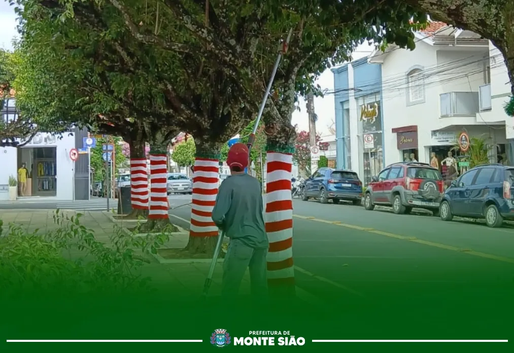 Secretaria de Agricultura Inicia Poda de Árvores e Revitalização Paisagística no Centro