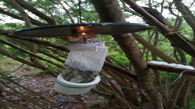 A VIGILÂNCIA EM SAÚDE DE MONTE SIÃO PRESTA INFORMAÇÕES IMPORTANTES QUANTO AO MOSQUITO PALHA