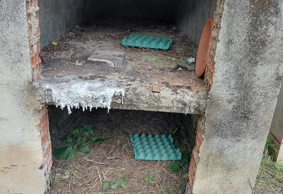 Vigilância em Saúde instala armadilhas para escorpião no Cemitério Municipal