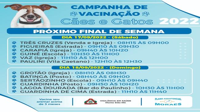 3545 CÃES E GATOS JÁ FORAM VACINADOS DURANTE CAMPANHA ANTIRRÁBICA